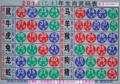 揭秘2025十二生肖與數(shù)字彩票的神奇聯(lián)系——49碼表全解析，揭秘十二生肖與數(shù)字彩票的神秘聯(lián)系，2025年49碼表深度解析