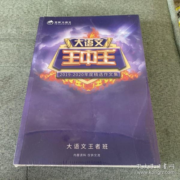 2019王中王資料解析，一肖中qr的秘密，揭秘王中王資料解析與一肖中qr的秘密，解密背后的真相