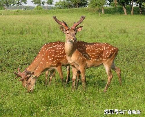 最新版本的6566cc澳彩資料大全介紹與特色功能解析，最新6566cc澳彩資料大全介紹與特色功能深度解析