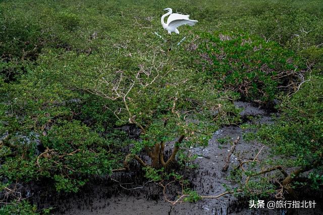 熱點(diǎn) 第137頁(yè)