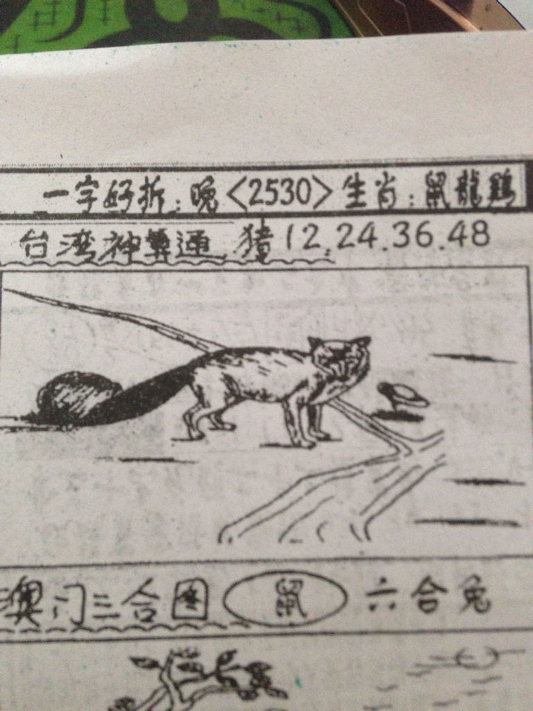 揭秘劉伯溫的生肖，一場看圖尋特之旅，揭秘劉伯溫生肖之謎，一場生肖圖片探尋之旅