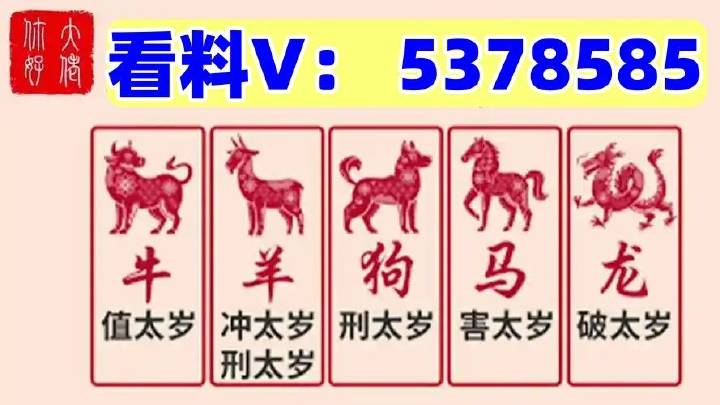 澳門馬站最快開獎結(jié)果，探索與解析，澳門馬站最新開獎結(jié)果解析