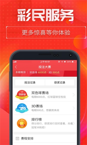 一肖二碼中特王中王——揭秘彩票背后的秘密，揭秘彩票背后的秘密，一肖二碼中特王中王的故事