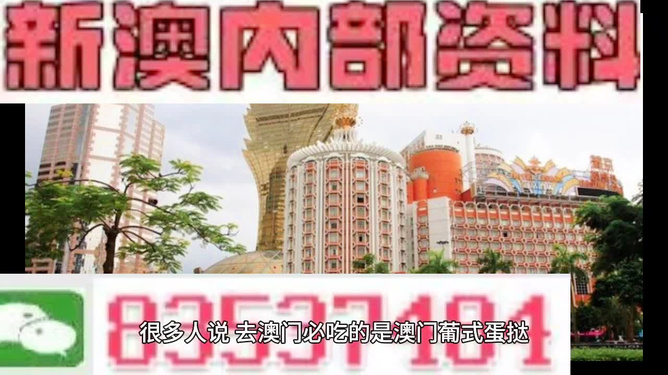 新澳門三中三碼精準(zhǔn)預(yù)測(cè)，揭秘成功概率背后的秘密與策略（附詳細(xì)解析），揭秘新澳門三中三碼成功預(yù)測(cè)背后的秘密與策略解析