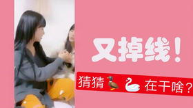 王中王欲錢詩猜一肖，王中王欲錢詩暗示的生肖之謎