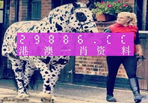 王中王一肖一馬中特，探尋背后的秘密與獨(dú)特魅力，探尋王中王一肖一馬中特的獨(dú)特魅力和背后秘密
