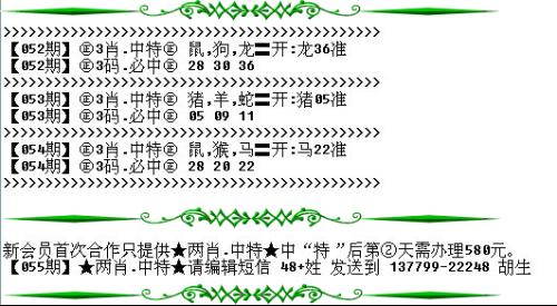 澳門必開一生一肖碼，揭秘背后的秘密與真相，澳門必開一生一肖碼揭秘內(nèi)幕與真相