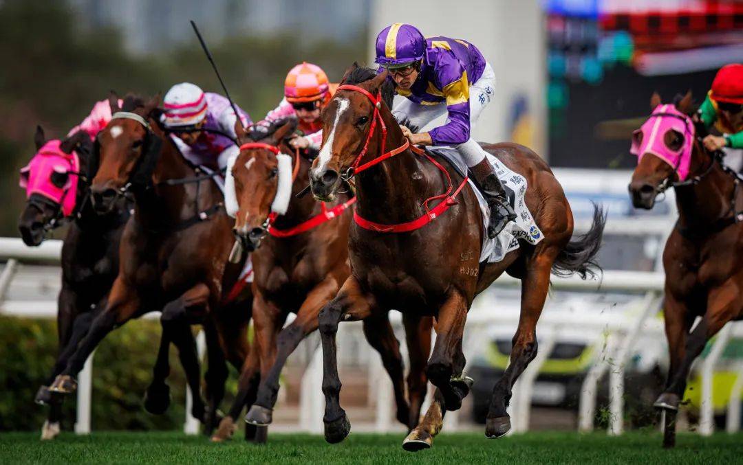 香港賽馬，探索賽馬運(yùn)動(dòng)的激情與榮耀之地——7777788888的獨(dú)特魅力，香港賽馬，激情與榮耀的獨(dú)特魅力探索——777778賽馬運(yùn)動(dòng)之地