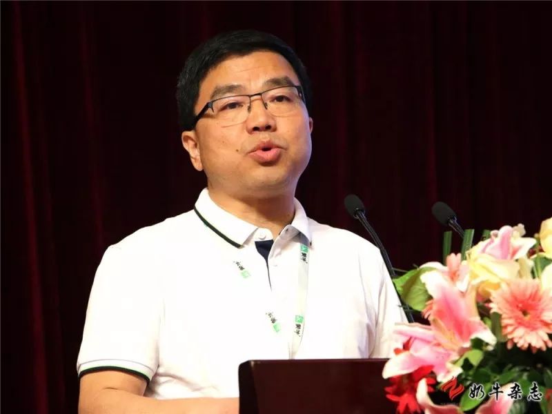 王中王一平特肖，揭秘第100期的秘密與策略，揭秘第100期秘密與策略，王中王一平特肖獨(dú)家解析