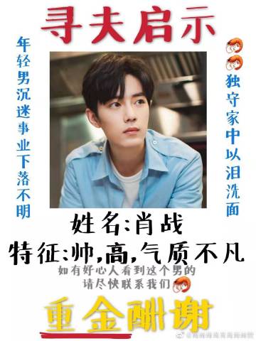 一肖一碼一一肖一子善，探尋命運(yùn)密碼與智慧之光的完美結(jié)合，命運(yùn)密碼與智慧之光，一肖一碼一一肖一子善的探尋