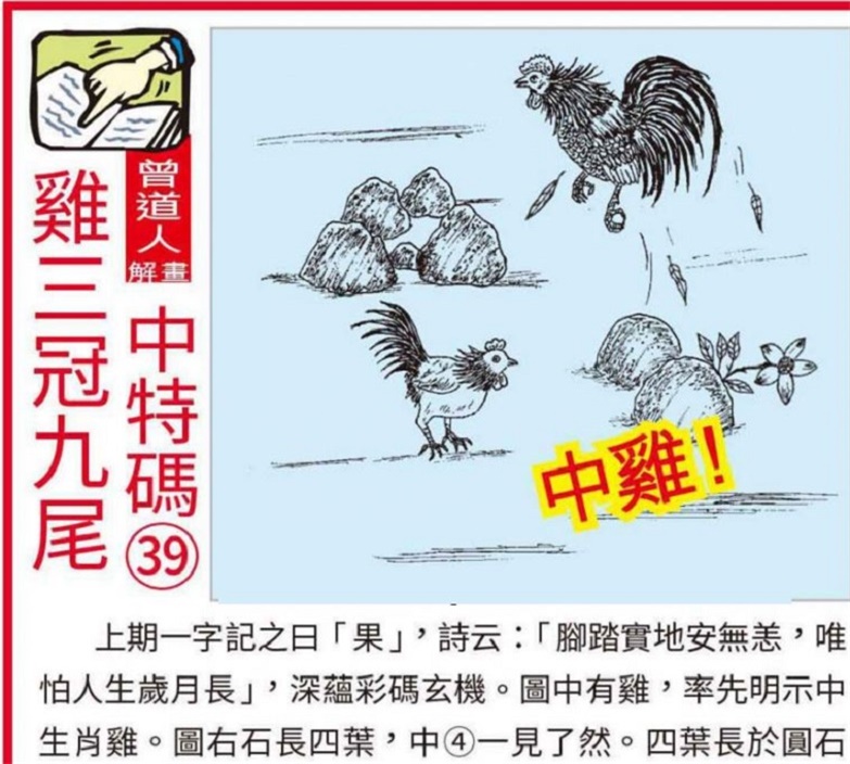 澳門2025全年資料大全正版資料權(quán)威指南，澳門2025全年正版權(quán)威指南，全面資料大全與權(quán)威解讀