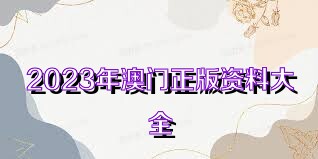 澳門資料大全正版資料查詢，探索澳門的文化與歷史深度之旅，澳門文化與歷史深度探索，正版資料大全及查詢指南