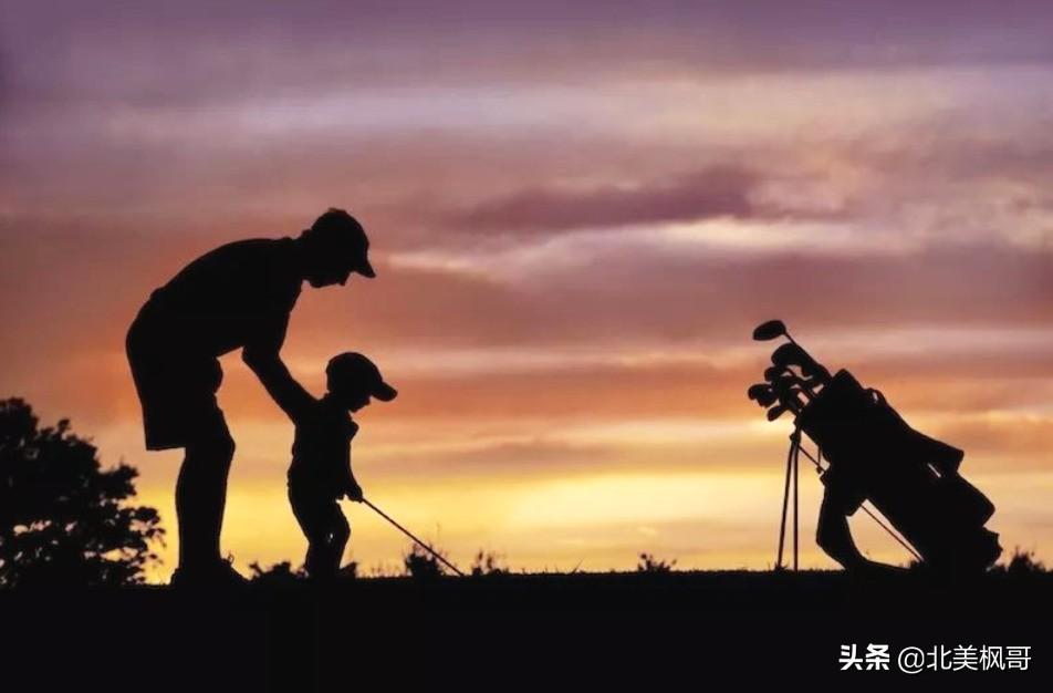 森林高手王中王與神秘生肖——深度解讀背后的故事與秘密，森林高手王中王與神秘生肖，故事背后的深度解讀與秘密探尋