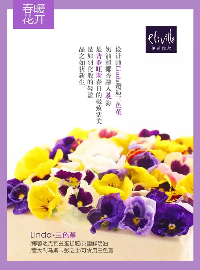 王中王339期指一生肖——探尋背后的秘密與玄機，探尋王中王339期生肖背后的秘密與玄機