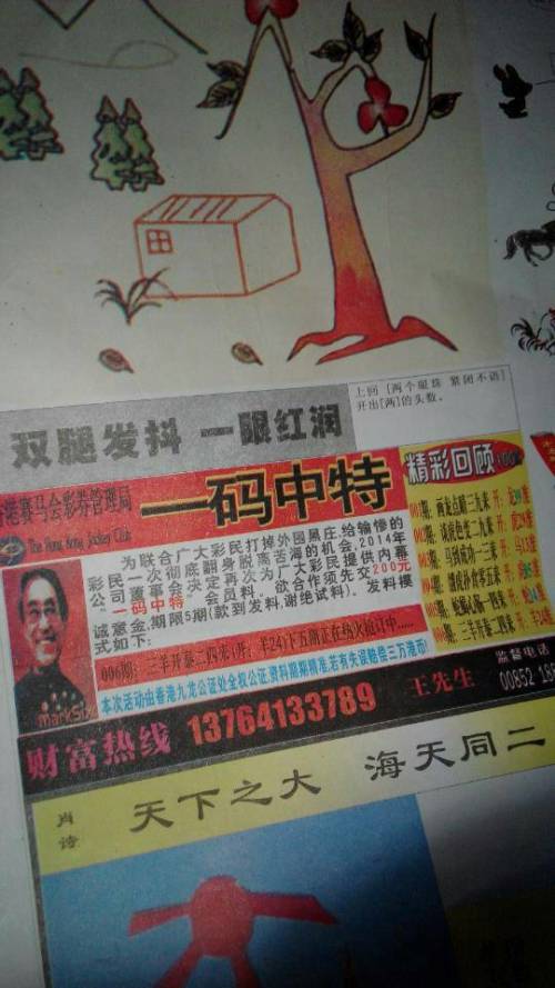 欲錢詩猜一肖——探尋王中王的奧秘，探尋王中王的奧秘，欲錢詩猜一肖