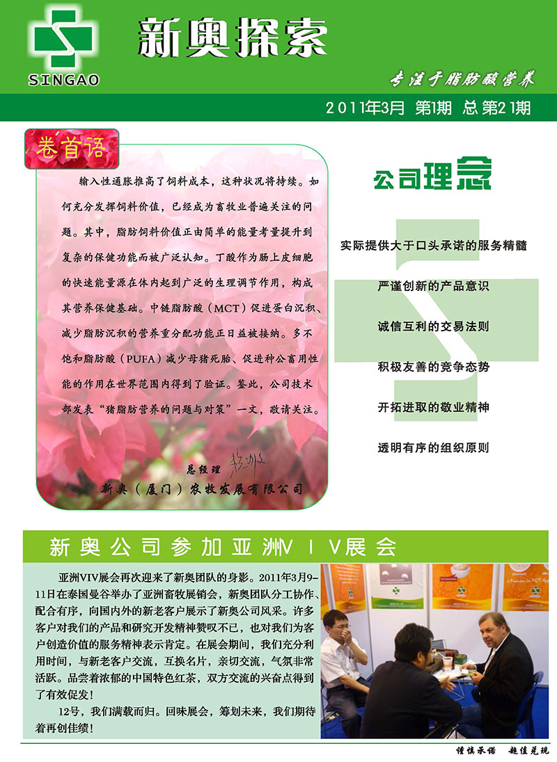 2025新澳正版資料精準(zhǔn)解析，2025新澳正版資料精準(zhǔn)解析手冊(cè)