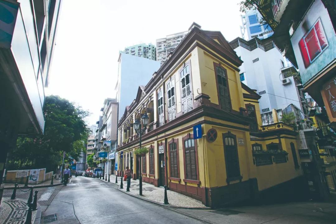 澳門今晚必開一肖，揭秘生肖運勢與預(yù)測邏輯，澳門今晚生肖預(yù)測揭秘，生肖運勢與預(yù)測邏輯分析