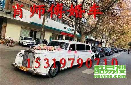 王中王車奪平特一肖免費(fèi)——深度解析與探索，王中王車奪平特一肖，深度解析與免費(fèi)探索