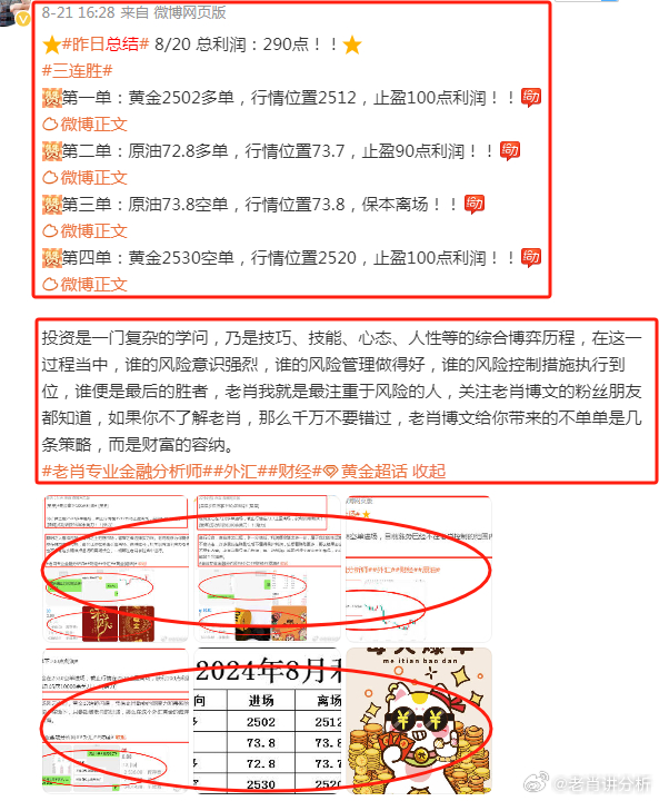 香港王中王一肖最準——揭秘精準預測的秘密，揭秘香港王中王一肖精準預測的秘密之道