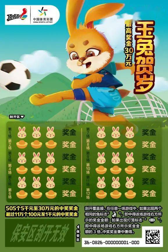 王中王一肖中特兔費(fèi)，探索關(guān)鍵詞背后的奧秘，探索關(guān)鍵詞王中王一肖中特兔費(fèi)背后的奧秘