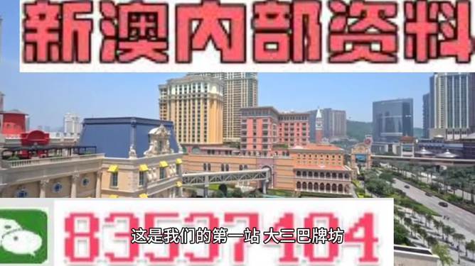 澳門正版免費全年資料大全旅游團，探索澳門之旅的完美選擇，澳門正版全年旅游資料大全，探索澳門之旅的首選旅游團