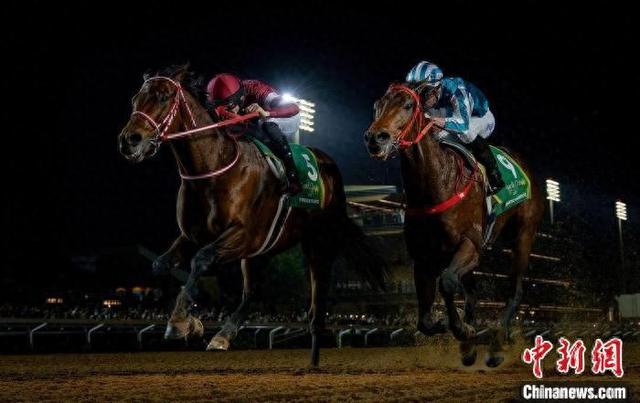 香港王中王一肖中特馬，探索背后的奧秘，香港王中王一肖中特馬背后的奧秘探索