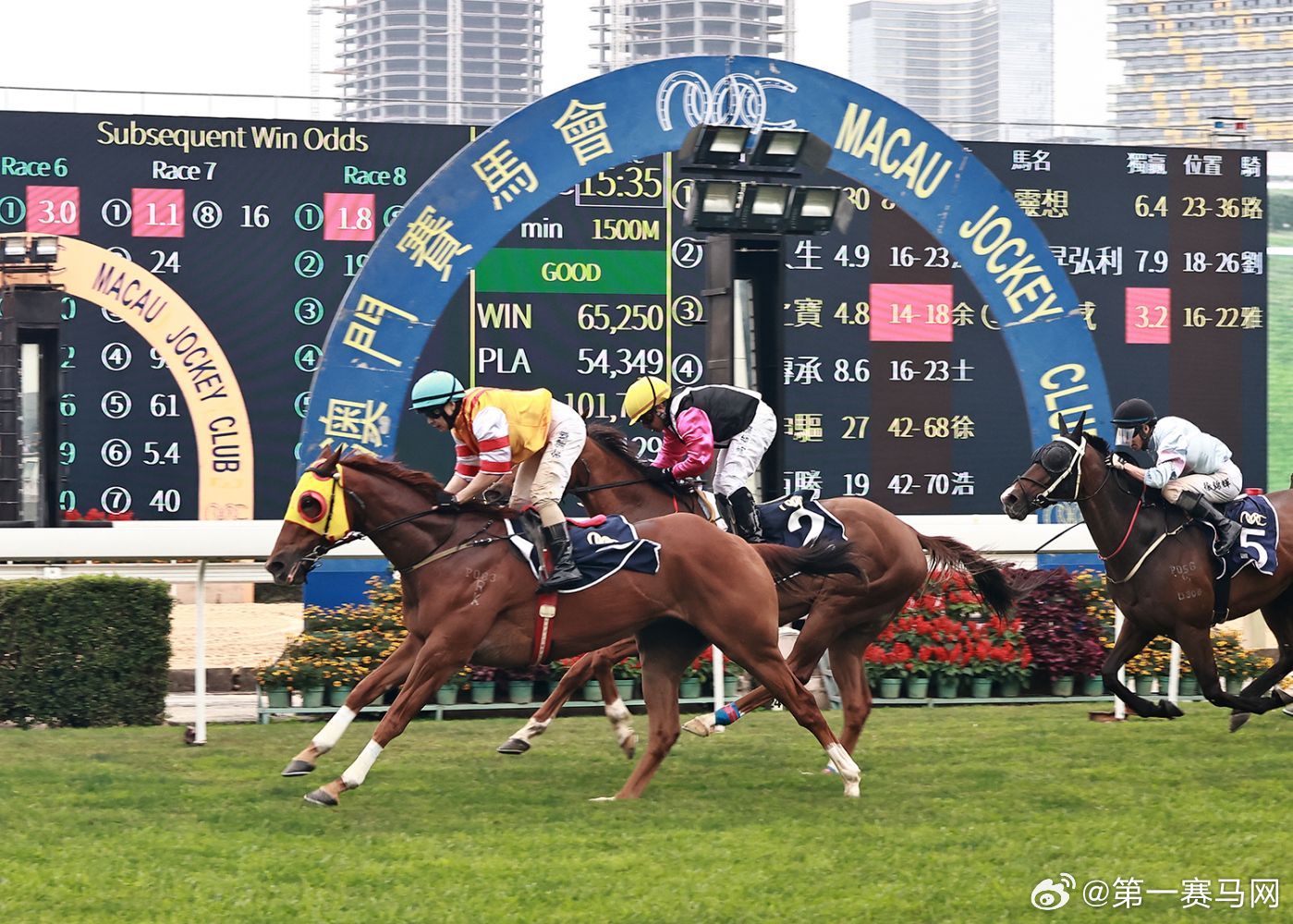 澳門馬今天開什么特馬——探索澳門賽馬世界的奧秘，澳門賽馬揭秘，今日特馬探索之旅