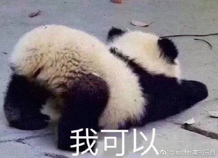 王中王四不像平一肖，揭秘背后的奧秘與策略，揭秘王中王四不像平一肖背后的奧秘與策略