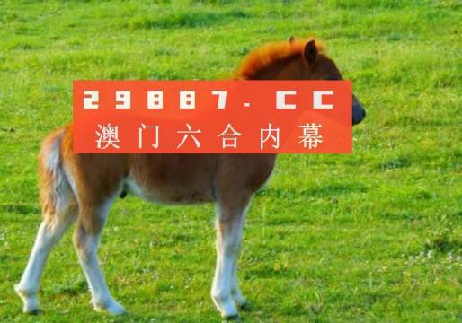 新奧門一肖一馬平特大全，揭秘?zé)衢T關(guān)鍵詞背后的故事，揭秘新澳門熱門關(guān)鍵詞背后的故事，一肖一馬平特大全
