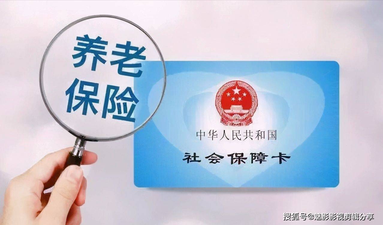 揭秘王中王一期一肖特中獎(jiǎng)背后的秘密，王中王一期一肖特中獎(jiǎng)背后的秘密揭秘