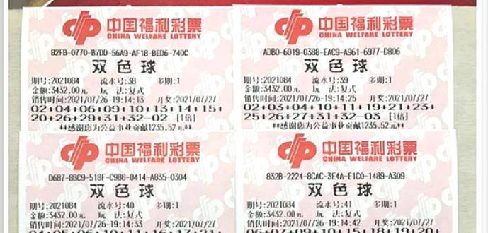 王中王084期指一生肖，解讀背后的秘密與生肖運(yùn)勢分析，王中王084期生肖揭秘，秘密解讀與運(yùn)勢展望