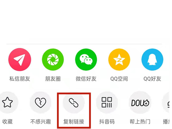 白小姐王中王中特一肖，神秘傳奇與SEO探索，神秘傳奇與SEO探索，白小姐王中王中特一肖的奧秘