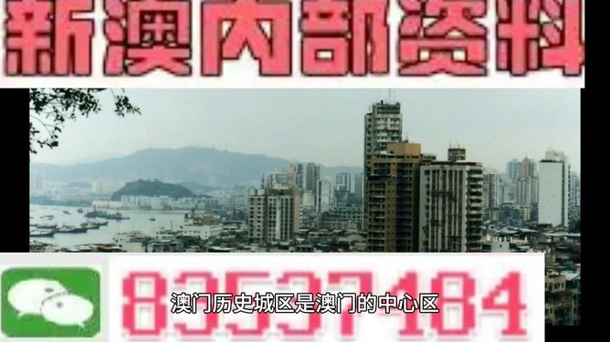 澳門三肖三碼精準預測之小馬哥傳奇，澳門三肖三碼精準預測，小馬哥傳奇揭秘