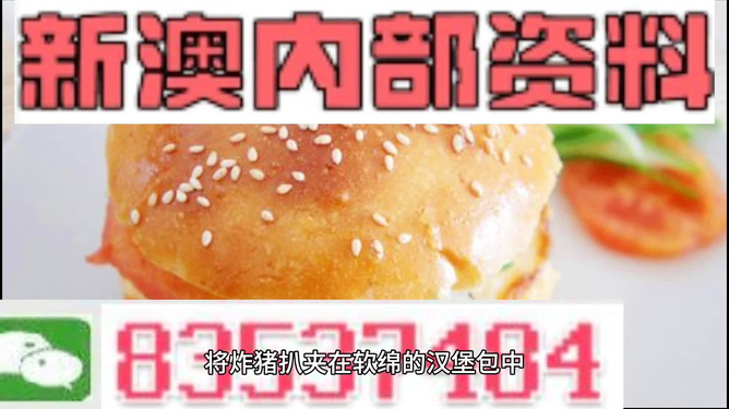 2025新澳正版資料精準(zhǔn)解析，2025新澳正版資料精準(zhǔn)解析手冊(cè)