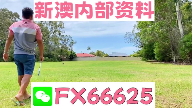 王中王一碼二肖，揭秘背后的秘密，揭秘王中王一碼二肖背后的秘密