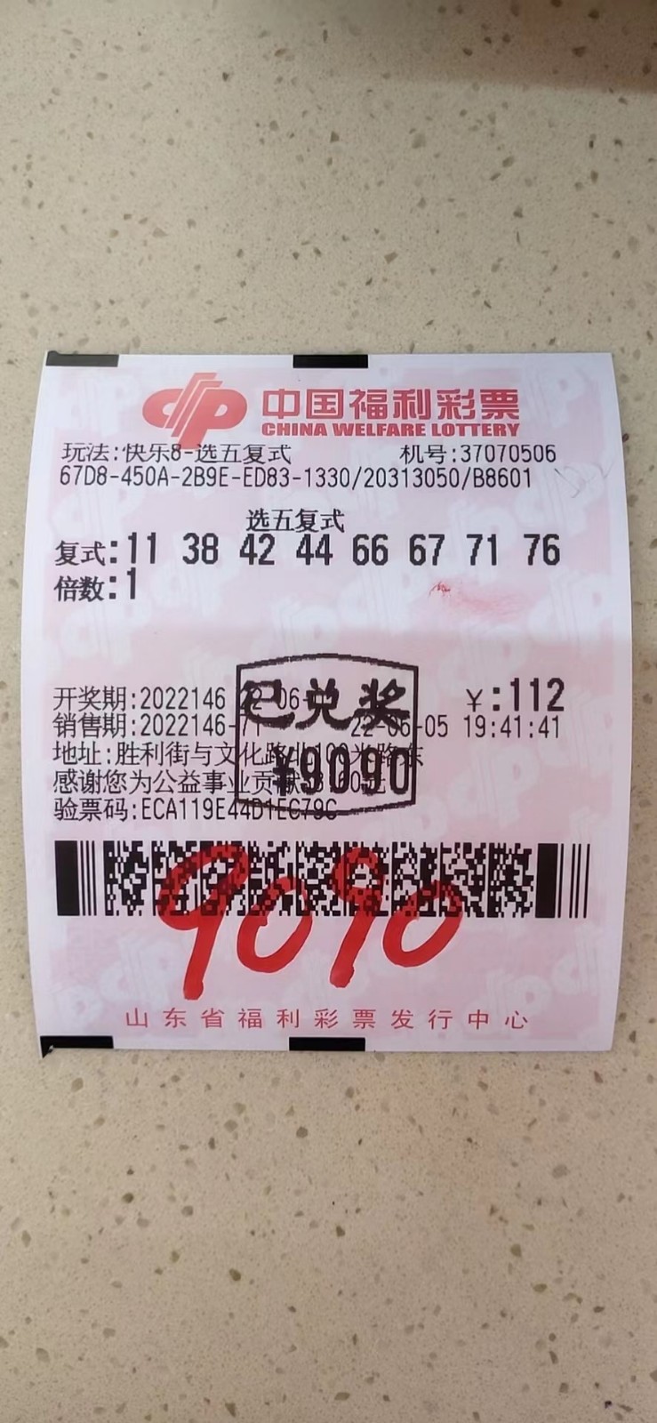 揭秘002期王中王平特一肖，背后的故事與奧秘，揭秘王中王平特一肖背后的故事與奧秘（第002期）