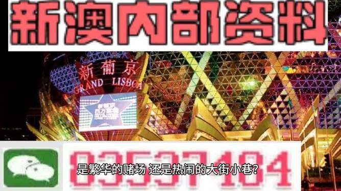 新澳門精準(zhǔn)資料大全管家婆料，探索與解析，澳門精準(zhǔn)資料大全解析，探索管家婆料內(nèi)幕