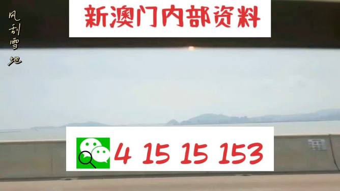 新澳2025最新資料生肖，深度解析與預(yù)測展望，新澳2025最新生肖資料深度解析與未來預(yù)測展望