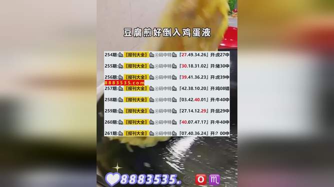 新澳今晚開馬結(jié)果查詢，全方位解析與實(shí)時更新，新澳今晚馬術(shù)賽事結(jié)果查詢，全方位解析與實(shí)時更新動態(tài)