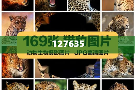 數(shù)字組合7777788888的神秘面紗