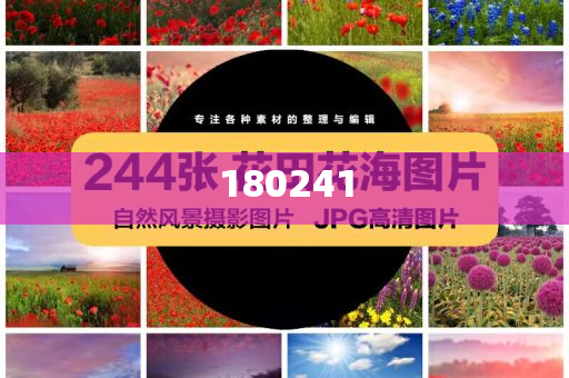 揭秘精準(zhǔn)管家婆狗，77777與88888的神秘面紗，揭秘精準(zhǔn)管家婆狗，神秘?cái)?shù)字77777與88888背后的秘密