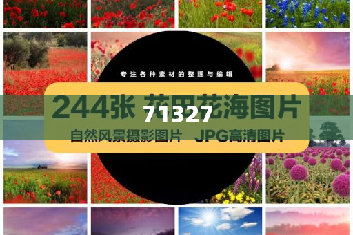 探索777788888管家婆網(wǎng)，一站式解決方案的綜合服務(wù)平臺(tái)，一站式解決方案的綜合服務(wù)平臺(tái)，探索777788888管家婆網(wǎng)