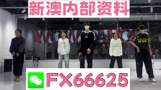 探索未來，2025新澳最新版精準(zhǔn)特色解析，探索未來，揭秘新澳最新版精準(zhǔn)特色解析（2025版）