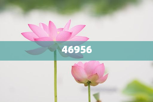 新奧集團(tuán)，邁向2025，天天開好彩的愿景與挑戰(zhàn)，新奧集團(tuán)邁向2025，實(shí)現(xiàn)天天開好彩的愿景與挑戰(zhàn)
