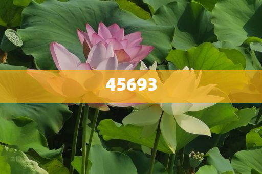 全新升級(jí)，7777888888精準(zhǔn)新管家，全新升級(jí)管家，精準(zhǔn)管理，一站式服務(wù) 7777888888新管家重磅來襲