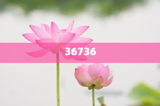 揭秘精準(zhǔn)新傳秘籍，7777788888免費(fèi)策略與SEO優(yōu)化，揭秘精準(zhǔn)新傳秘籍，免費(fèi)策略與SEO優(yōu)化指南
