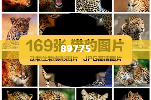 關(guān)于新奧歷史開獎記錄的最新信息，今天公布了嗎？，新奧歷史開獎記錄最新信息公布了嗎？