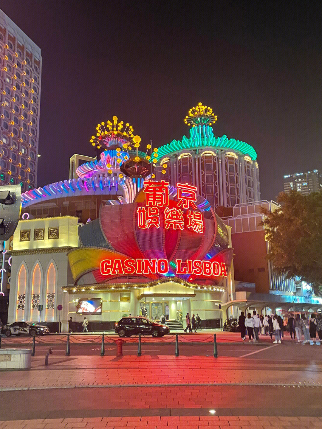 澳門今晚必開一肖一特芳草地，探索生肖與運(yùn)勢(shì)的神秘面紗，澳門生肖運(yùn)勢(shì)揭秘，探索今晚必開一肖一特芳草地神秘面紗的運(yùn)勢(shì)之旅