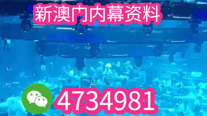 揭秘未來之星，2025新澳王中王，揭秘未來之星，2025新澳王中王風采展示