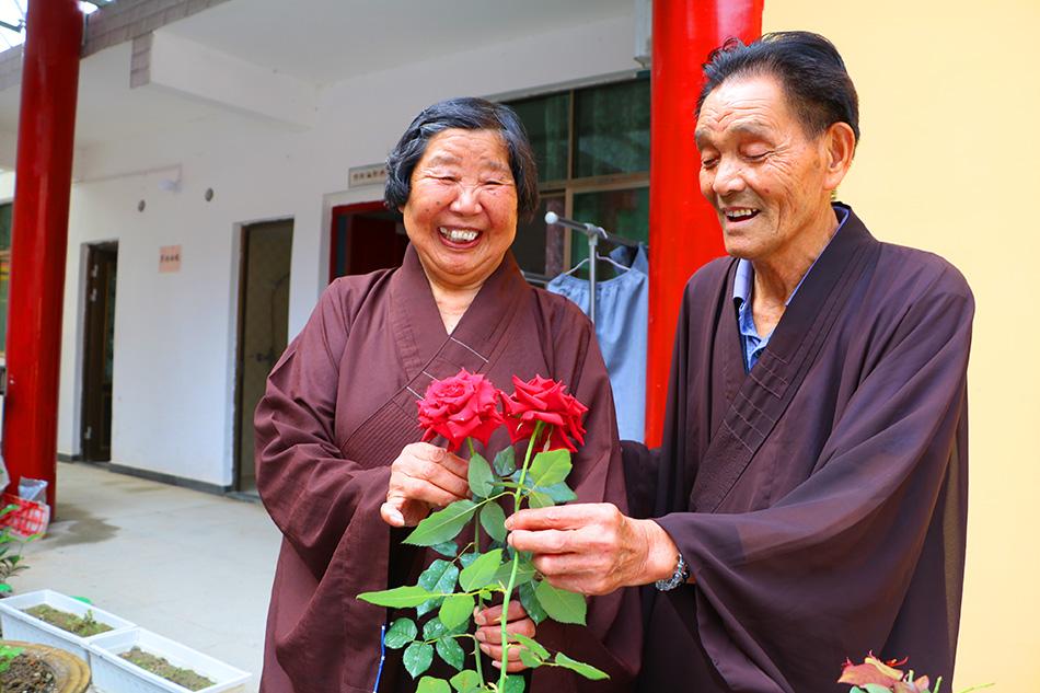 揭秘最準(zhǔn)一碼一肖，揭秘背后的秘密與真相，鳳凰網(wǎng)獨(dú)家報(bào)道，獨(dú)家揭秘，最準(zhǔn)一碼一肖背后的秘密真相（鳳凰網(wǎng)報(bào)道）